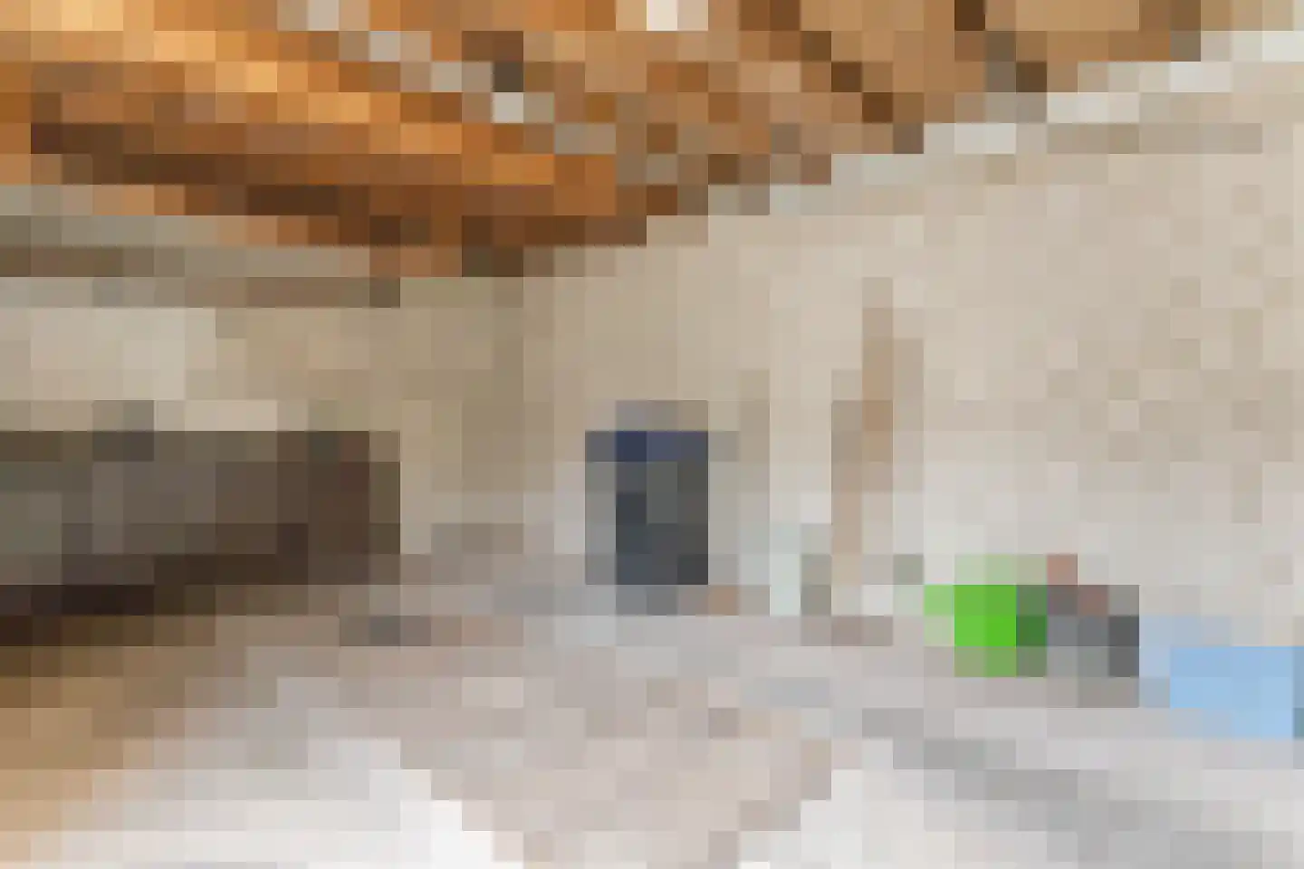 Berkenlaan 11 Langenboom thumbnail 16