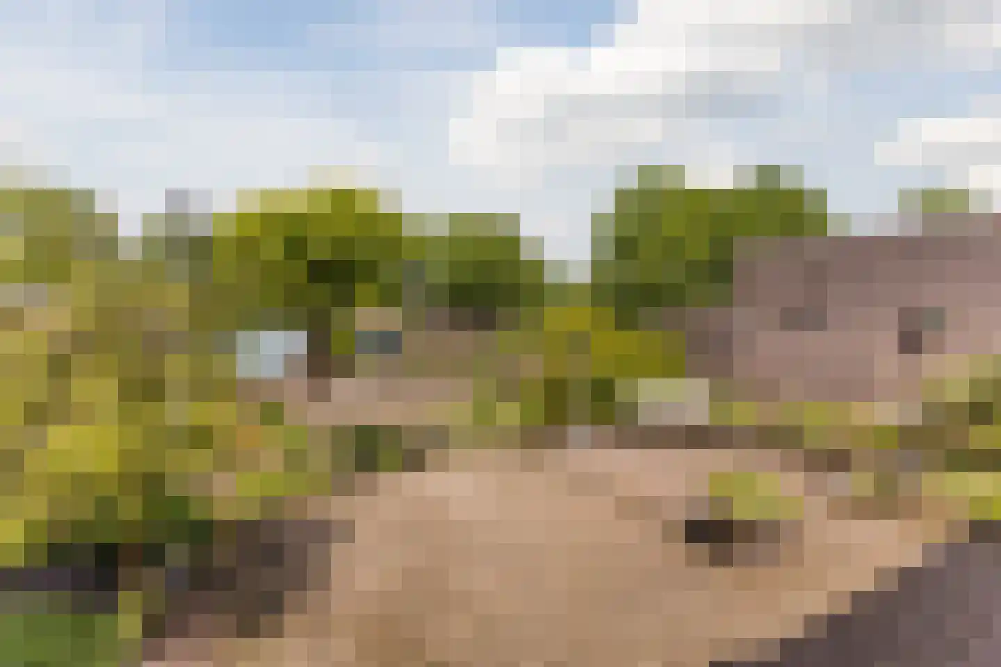 Berkenlaan 11 Langenboom thumbnail 17