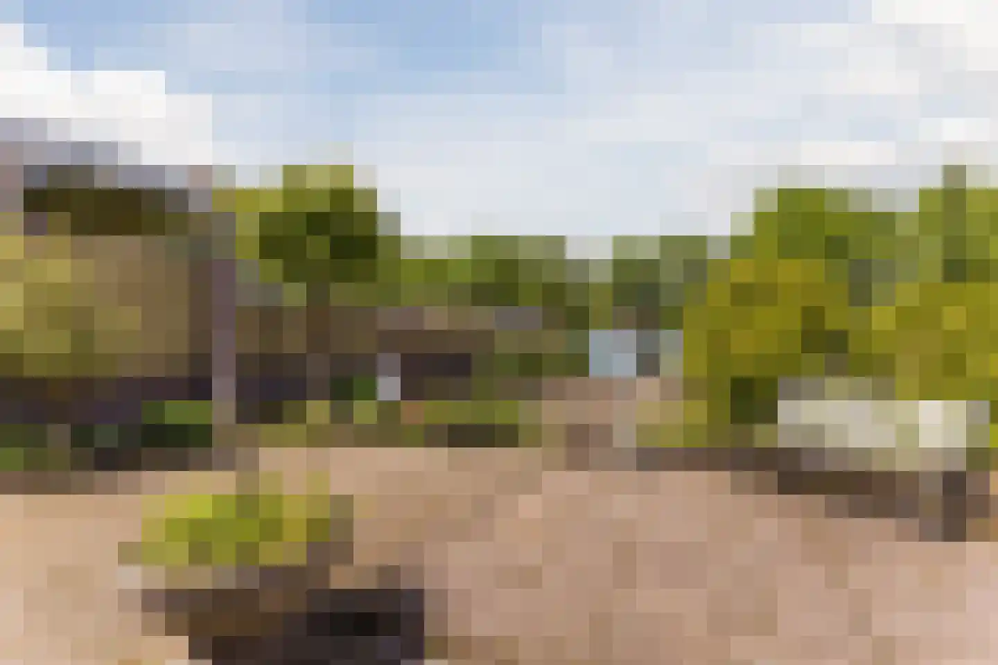 Berkenlaan 11 Langenboom thumbnail 18