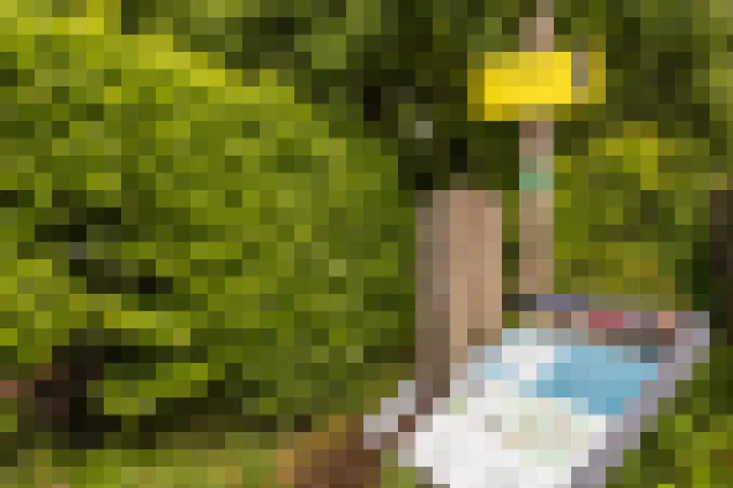 Berkenlaan 11 Langenboom thumbnail 22