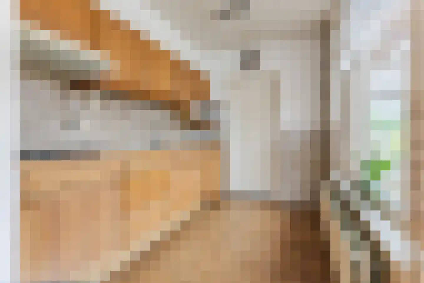 Berkenlaan 11 Langenboom thumbnail 5