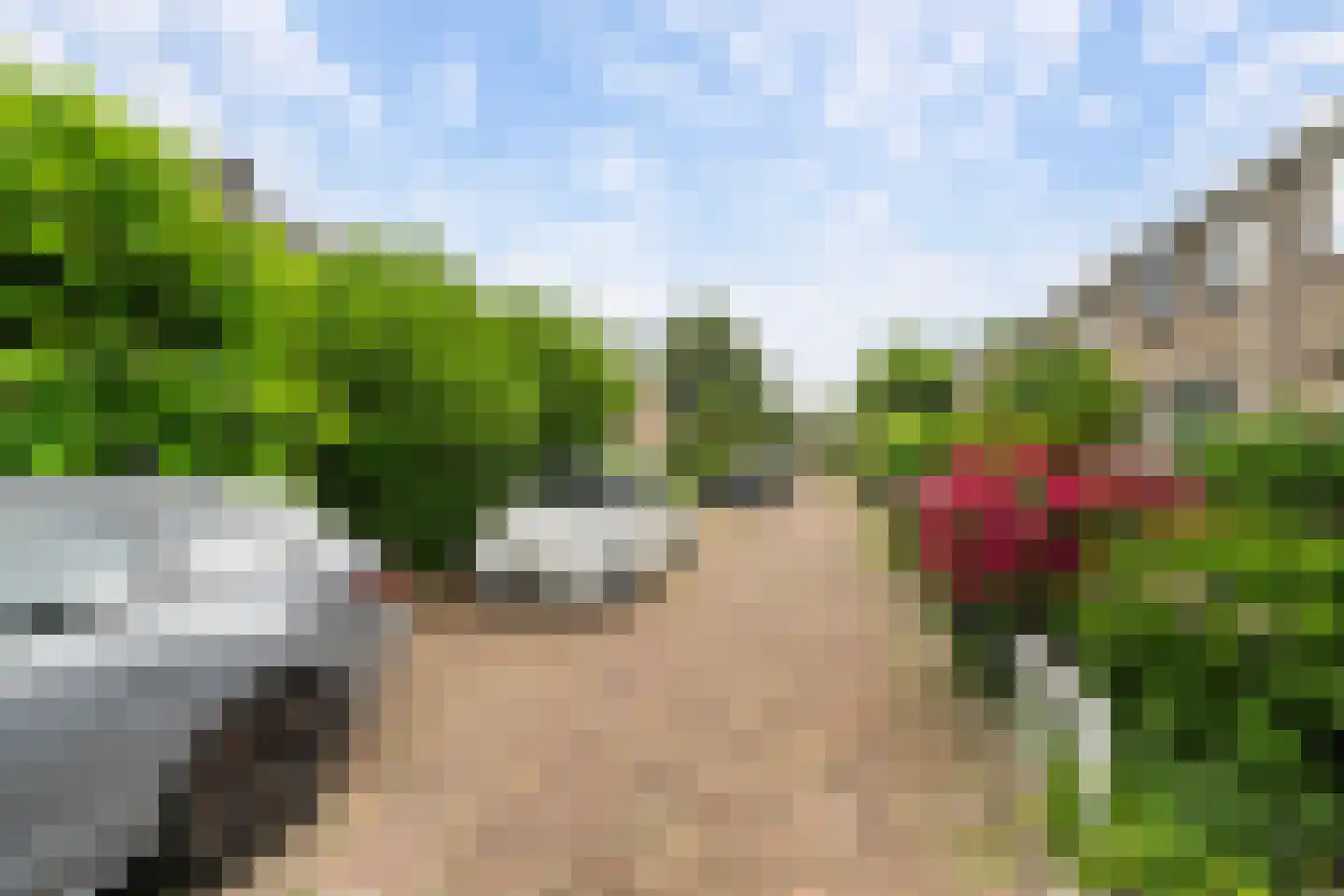 Berkenlaan 11 Schiedam thumbnail 12