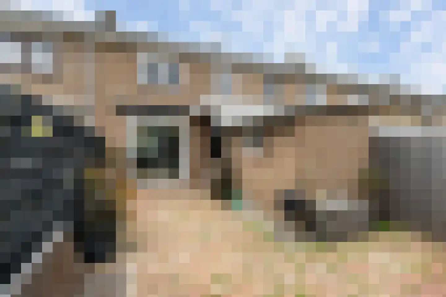 Berkenlaan 11 Schiedam thumbnail 13