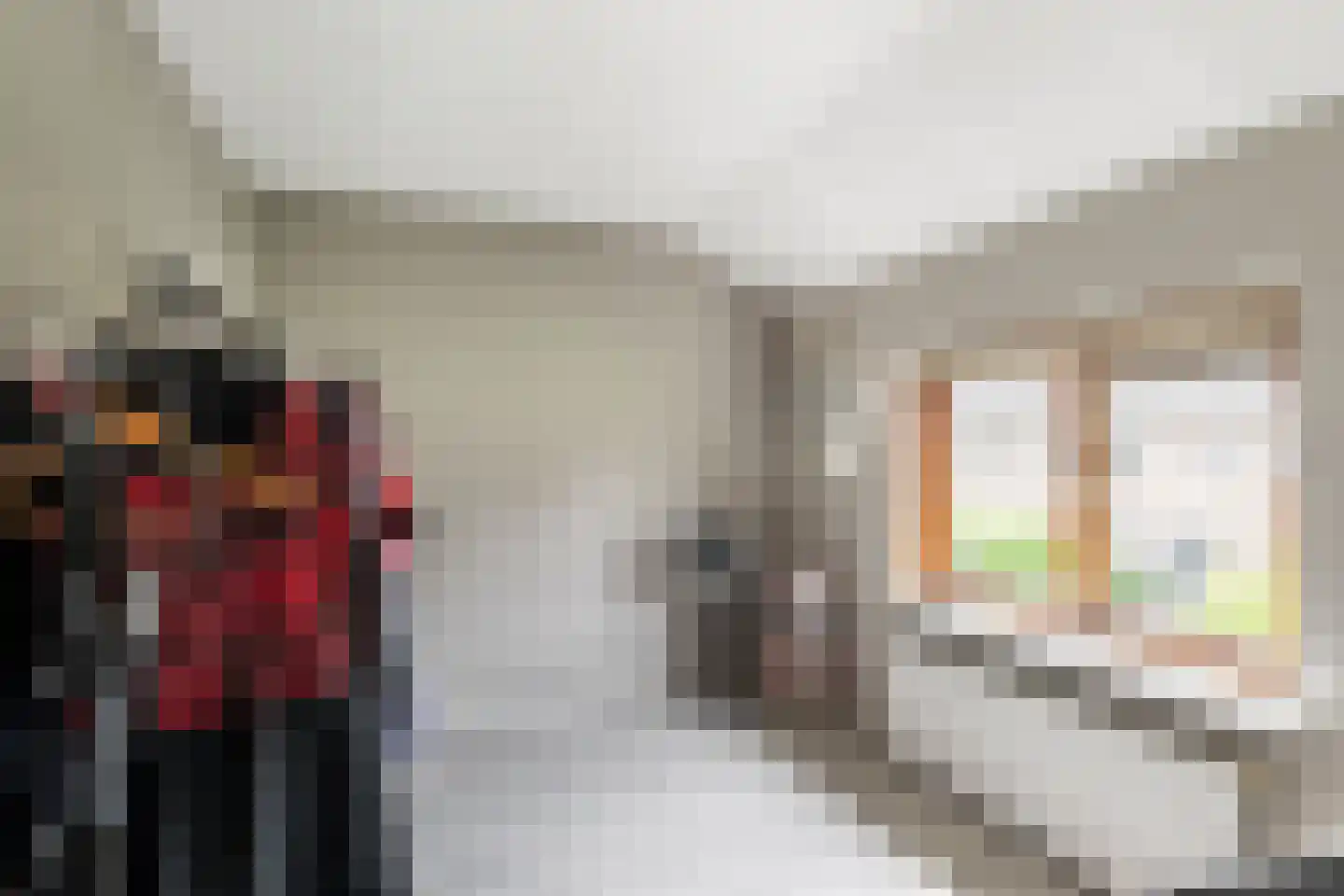 Berkenlaan 11 Schiedam thumbnail 18