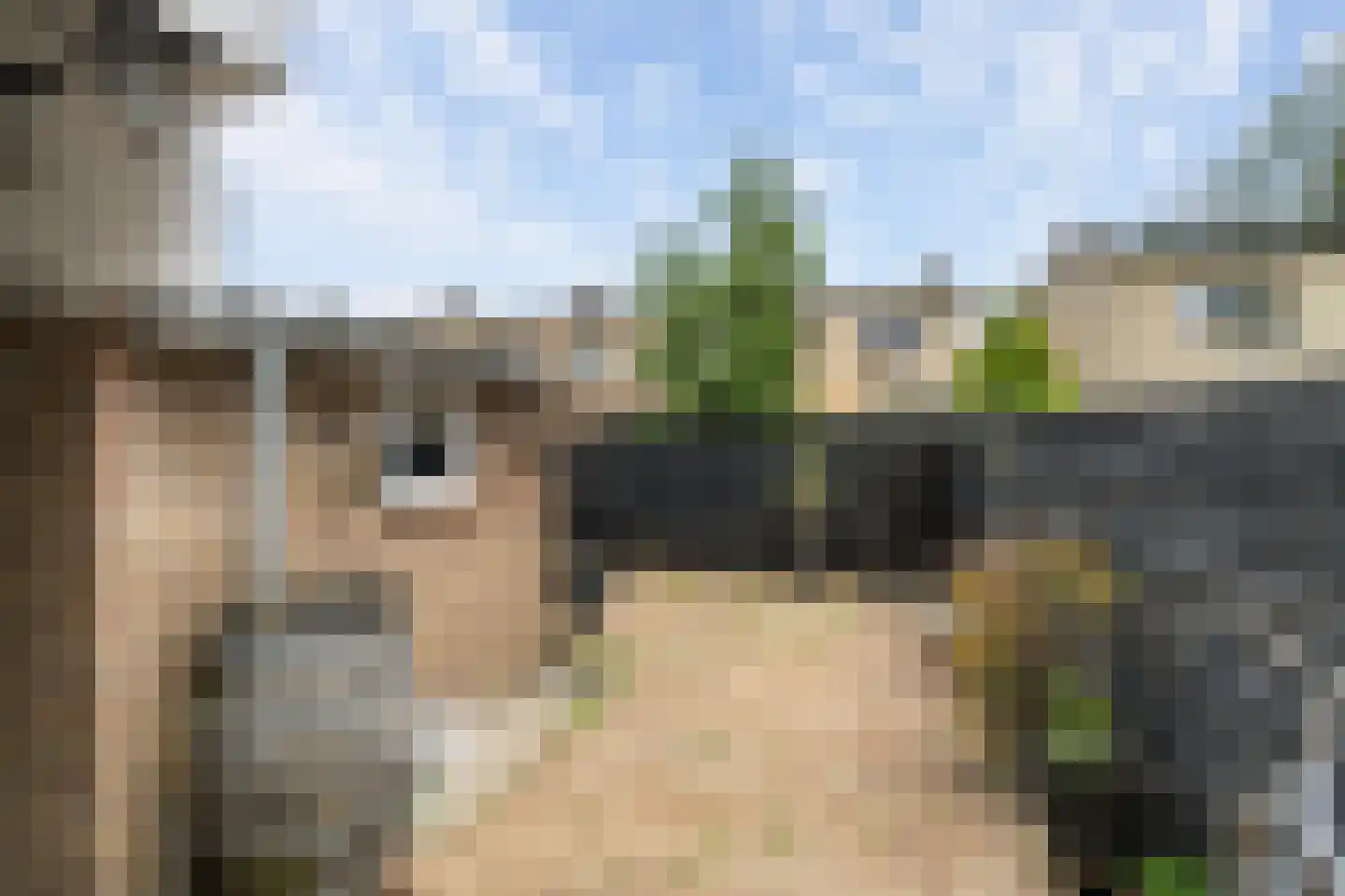 Berkenlaan 11 Schiedam thumbnail 4