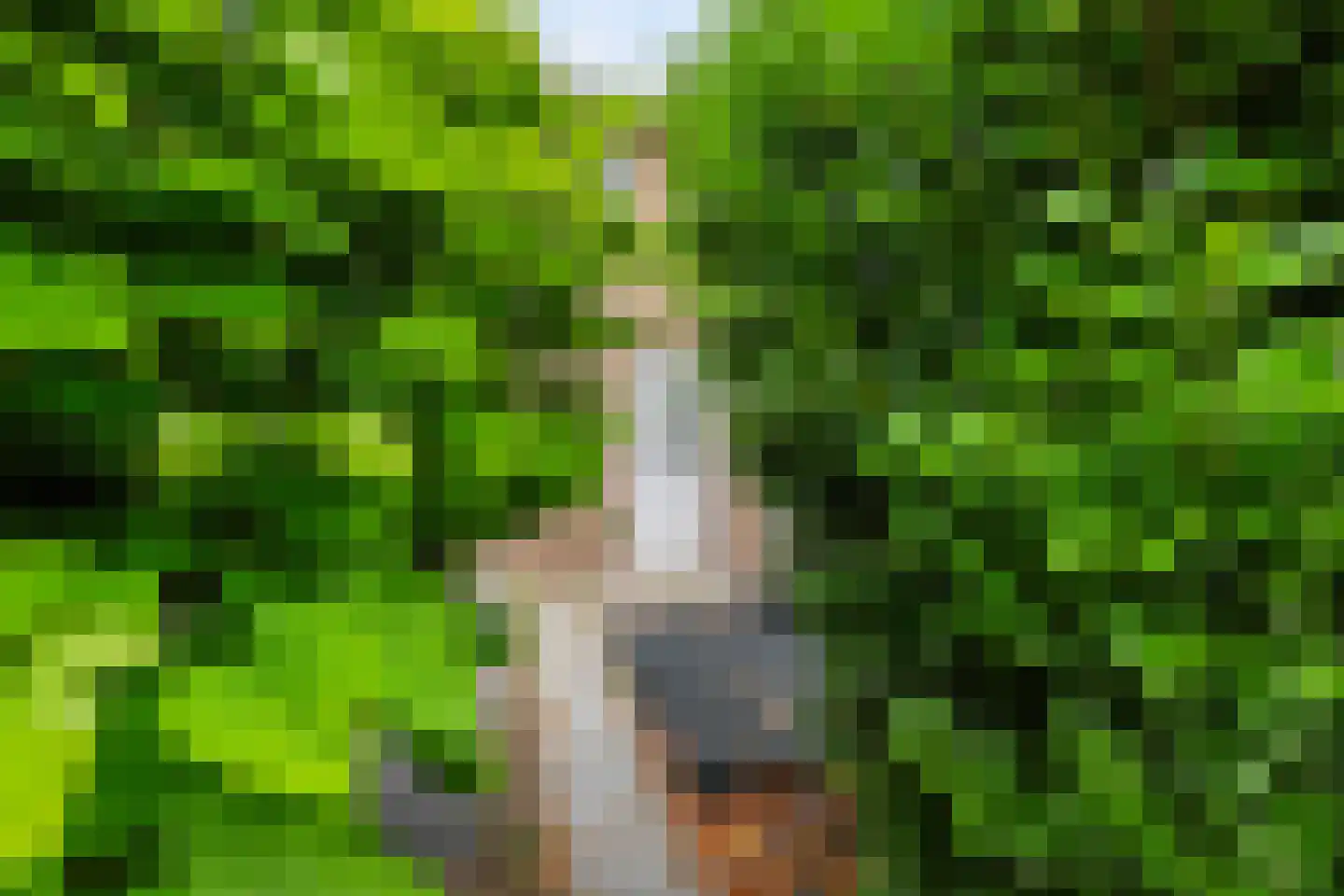Berkenlaan 11 Schiedam thumbnail 5