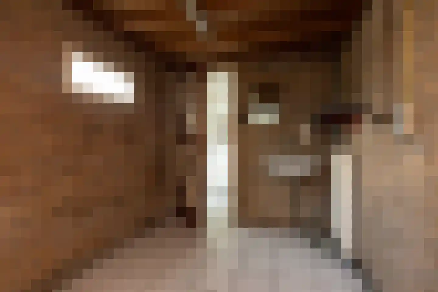 Berkenlaan 11 Sneek thumbnail 11