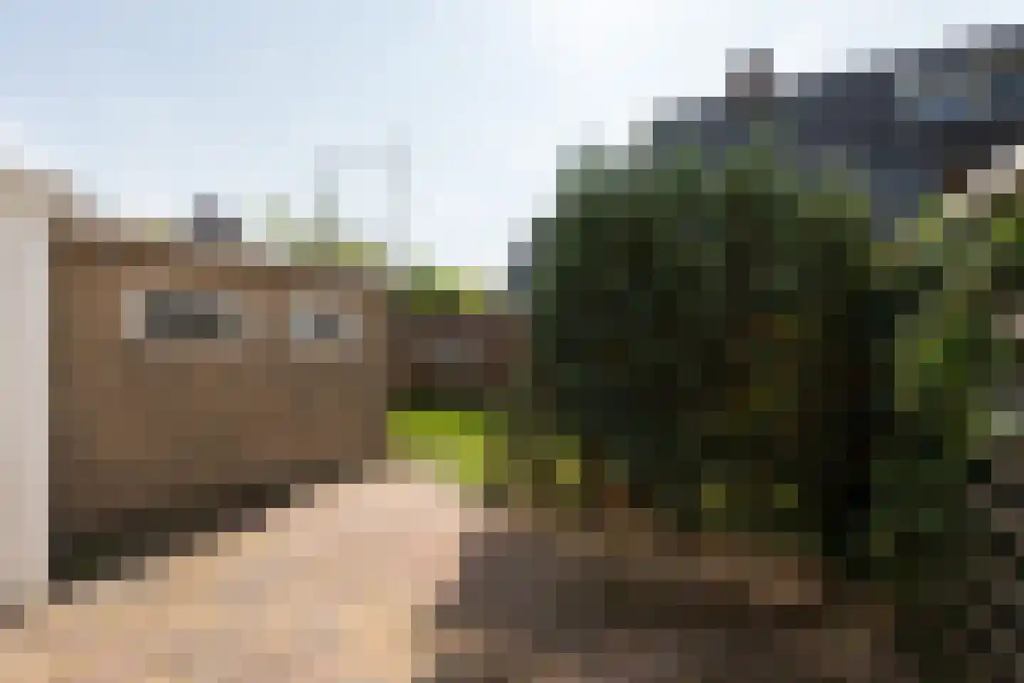 Berkenlaan 11 Sneek thumbnail 27