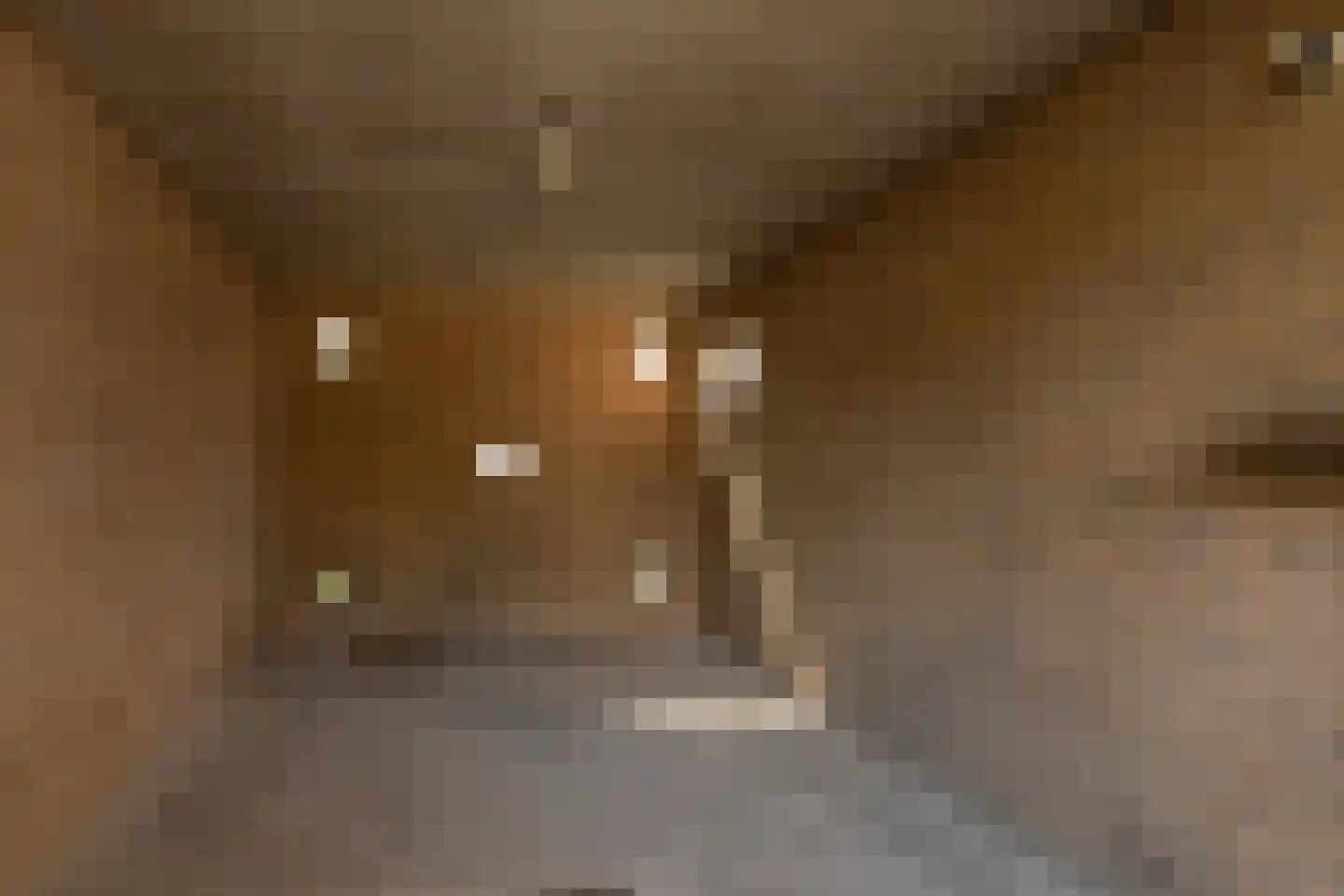 Berkenlaan 11 Sneek thumbnail 32