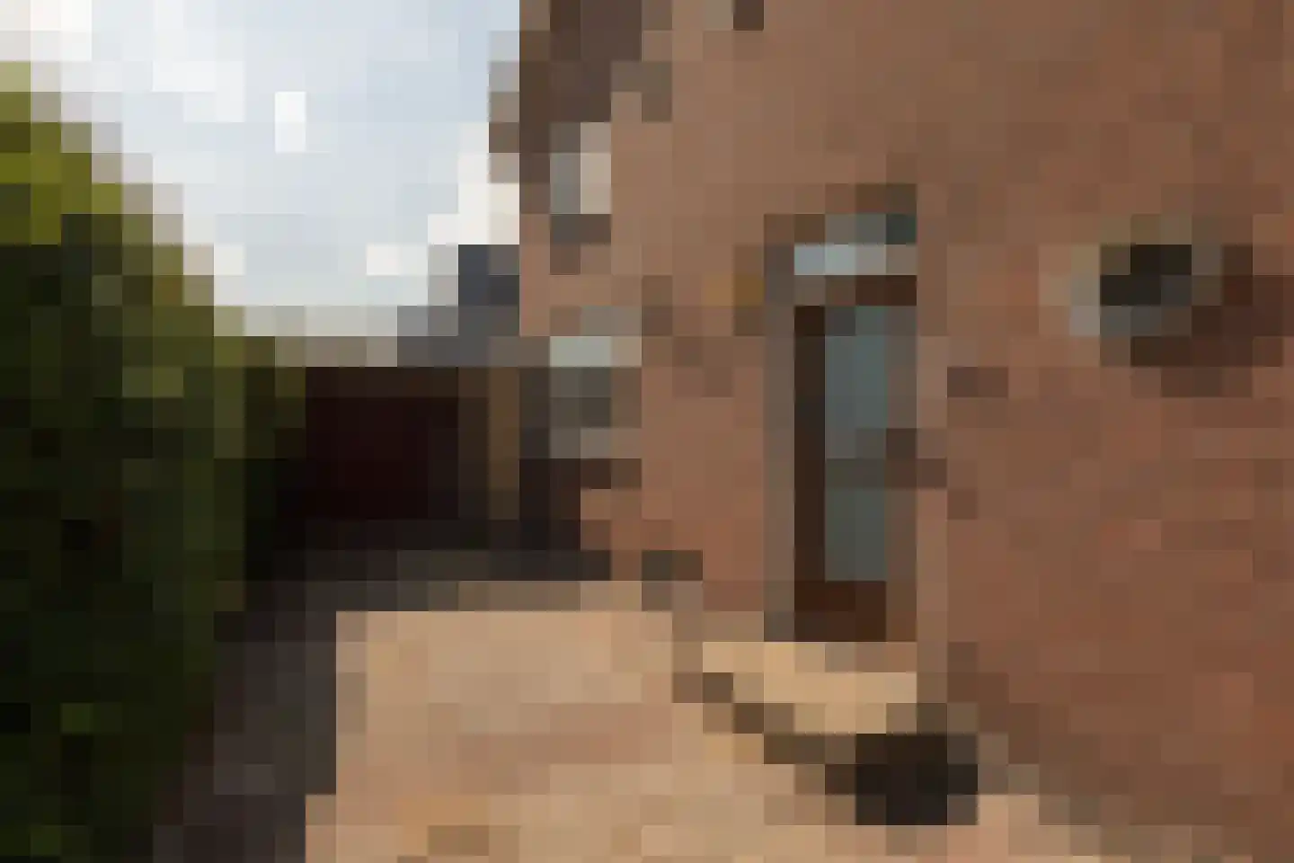 Berkenlaan 11 Sneek thumbnail 34
