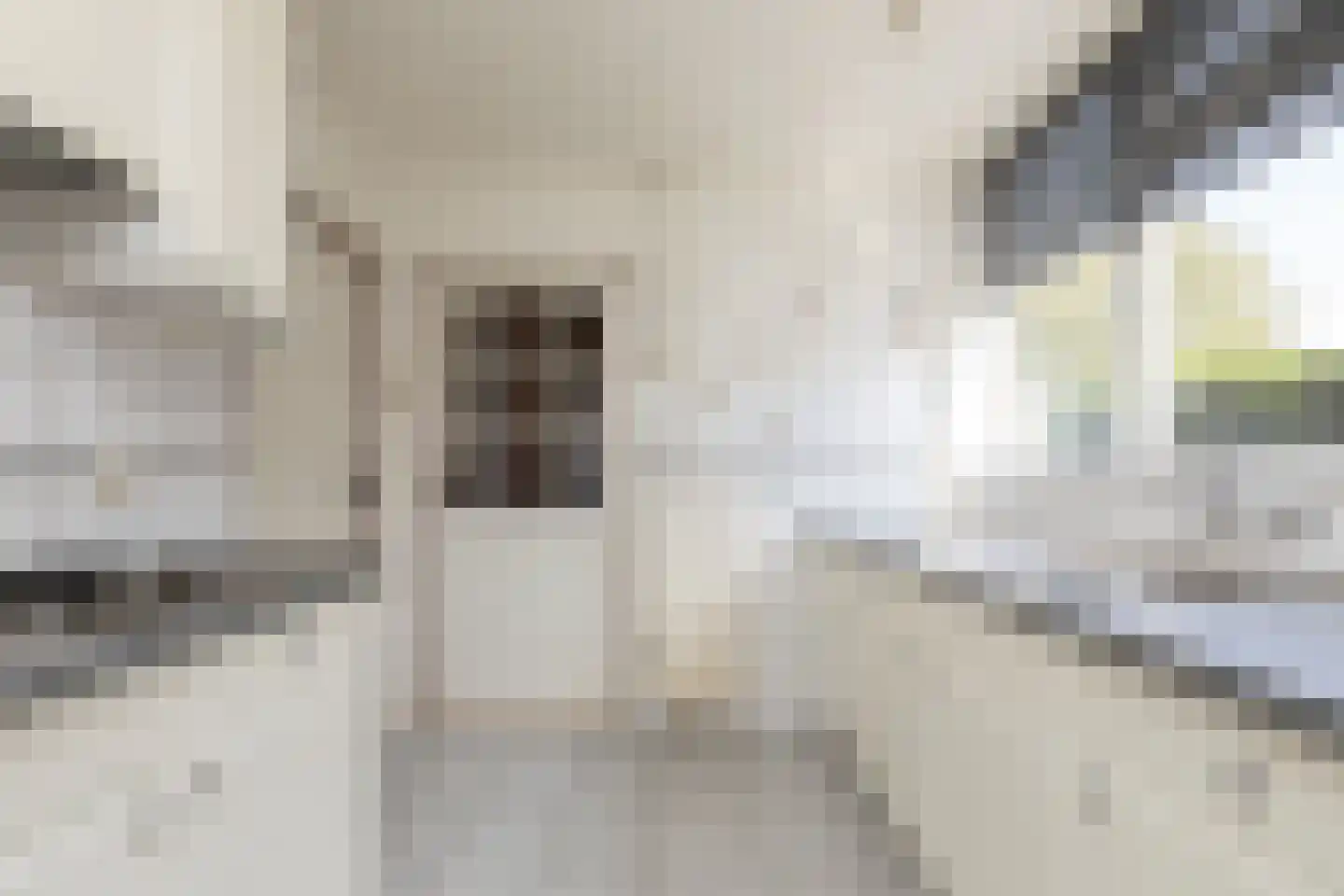 Berkenlaan 11 Sneek thumbnail 6