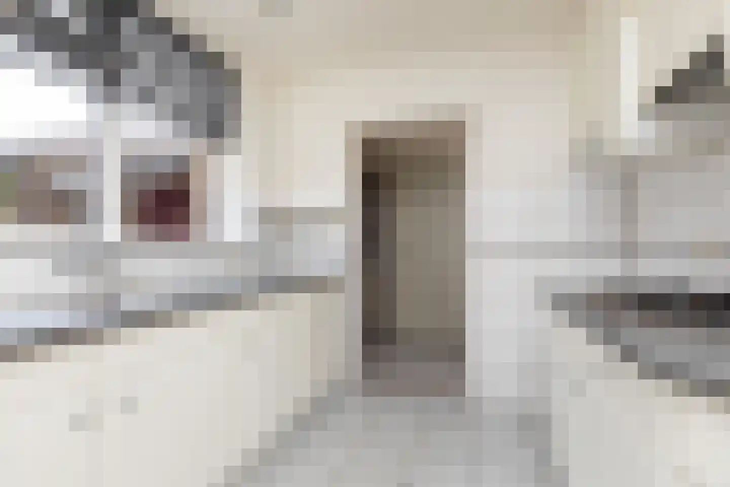 Berkenlaan 11 Sneek thumbnail 7