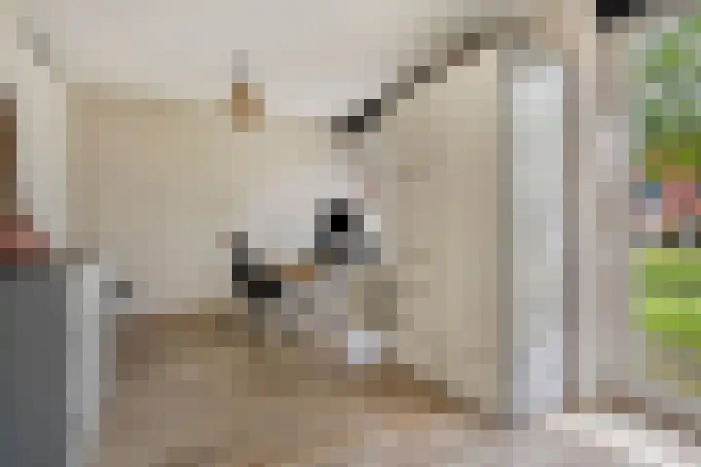 Berkenlaan 111 Doorwerth thumbnail 11