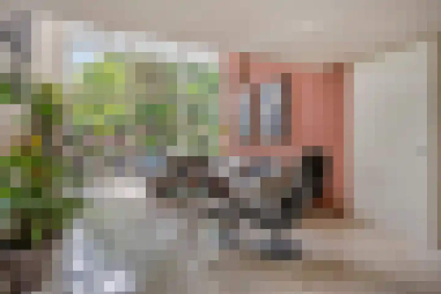 Berkenlaan 111 Doorwerth thumbnail 14
