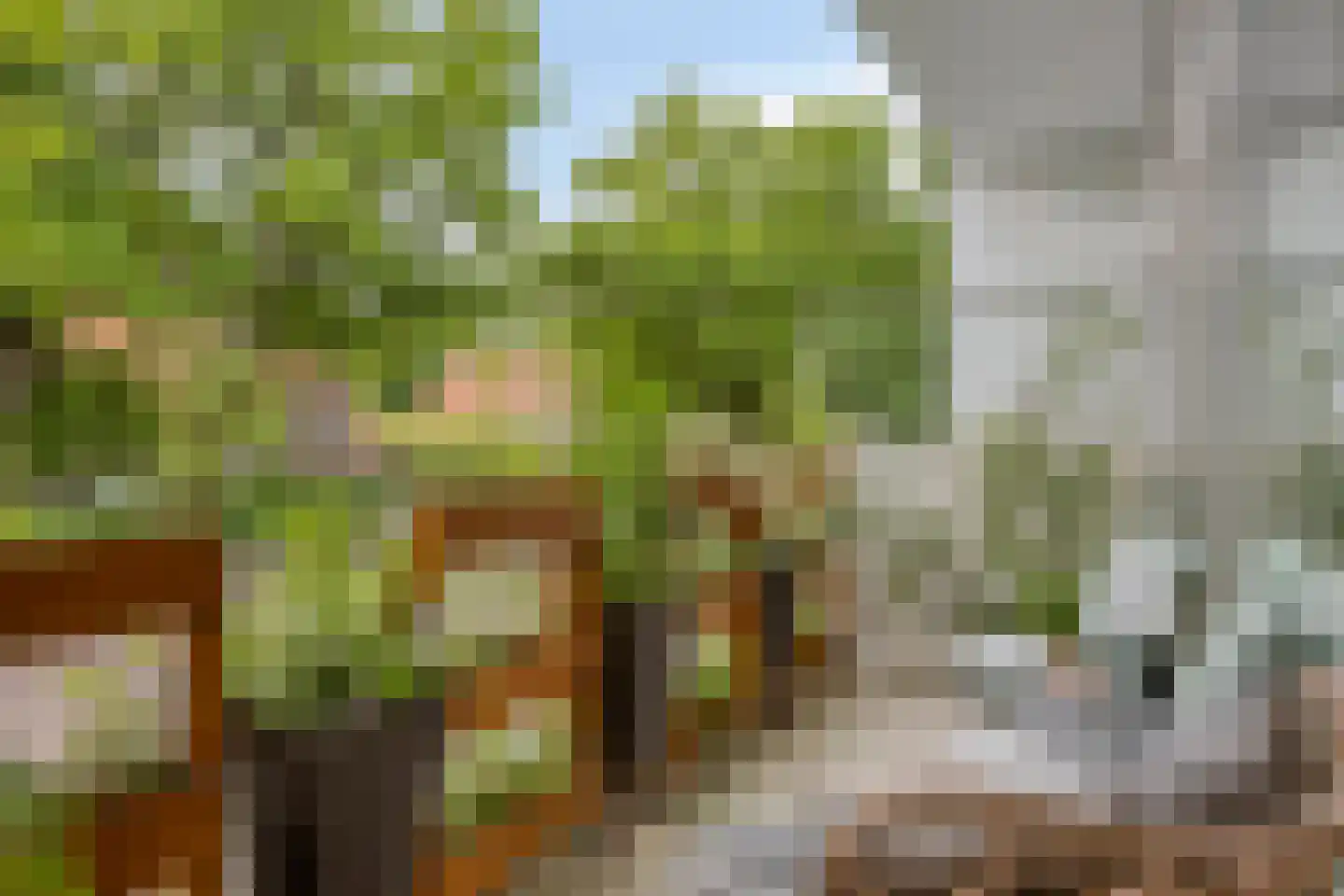 Berkenlaan 111 Doorwerth thumbnail 17