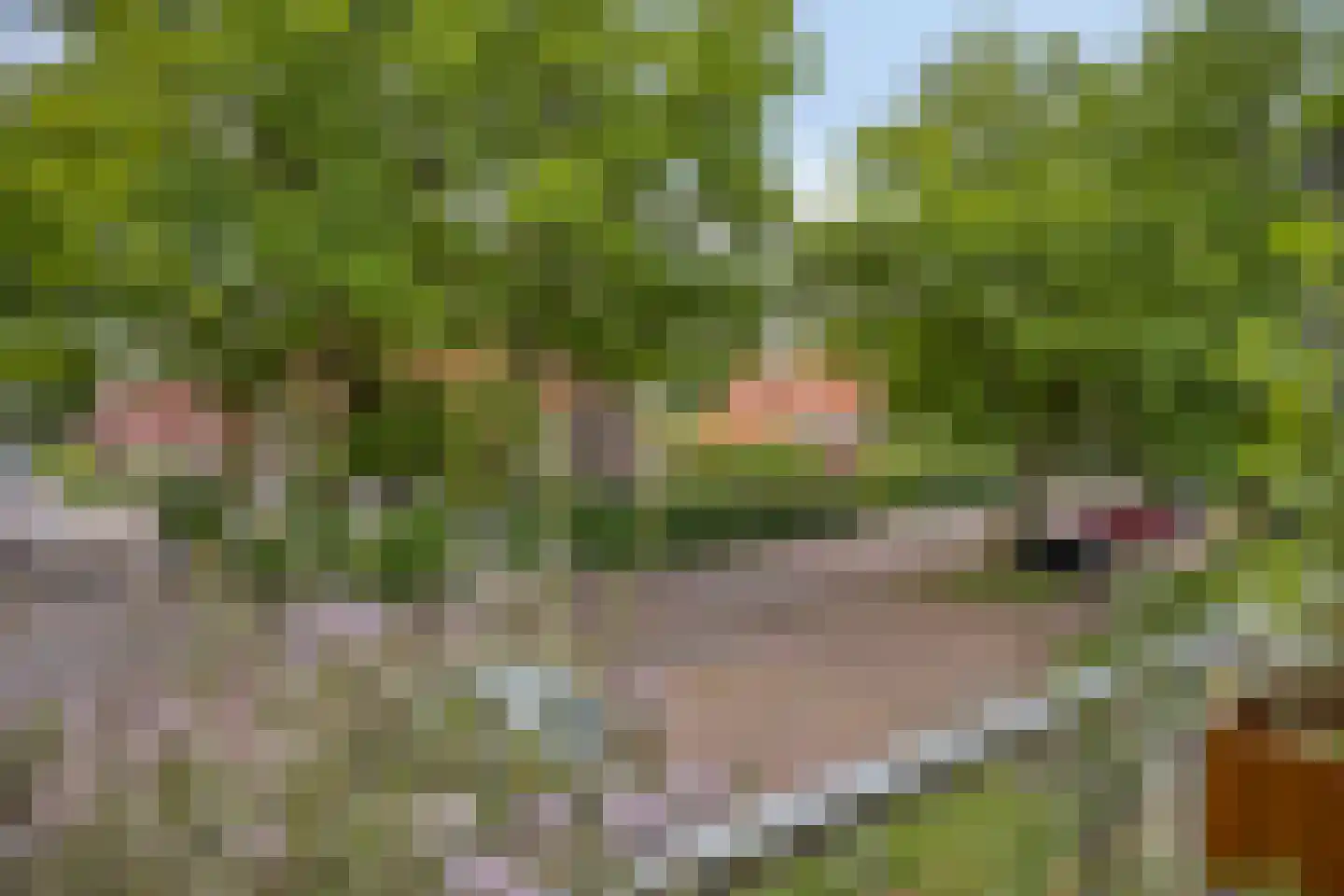 Berkenlaan 111 Doorwerth thumbnail 18