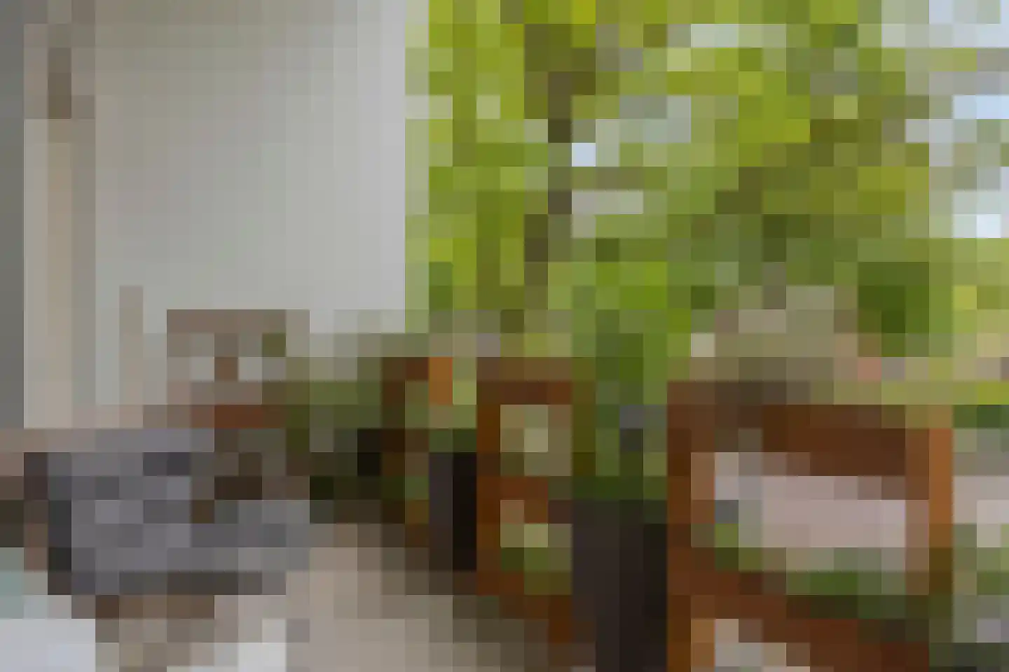 Berkenlaan 111 Doorwerth thumbnail 19