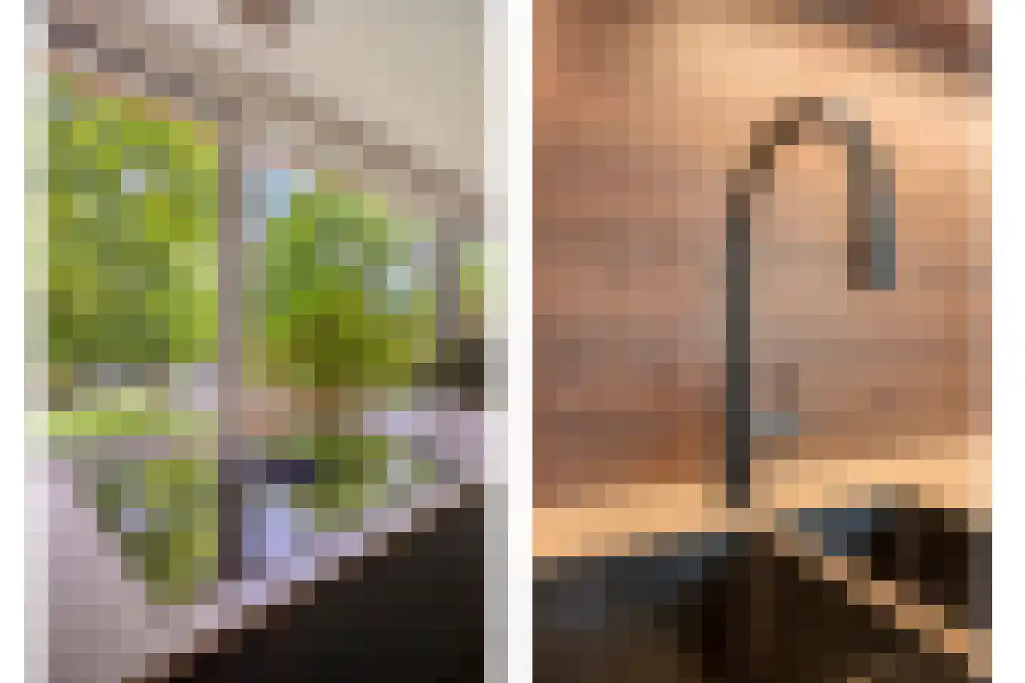 Berkenlaan 111 Doorwerth thumbnail 22