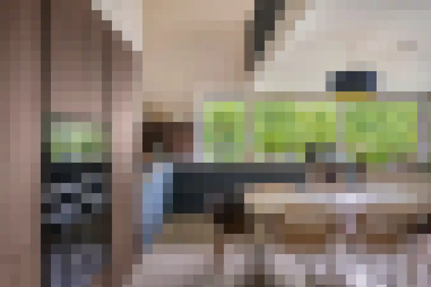 Berkenlaan 111 Doorwerth thumbnail 23