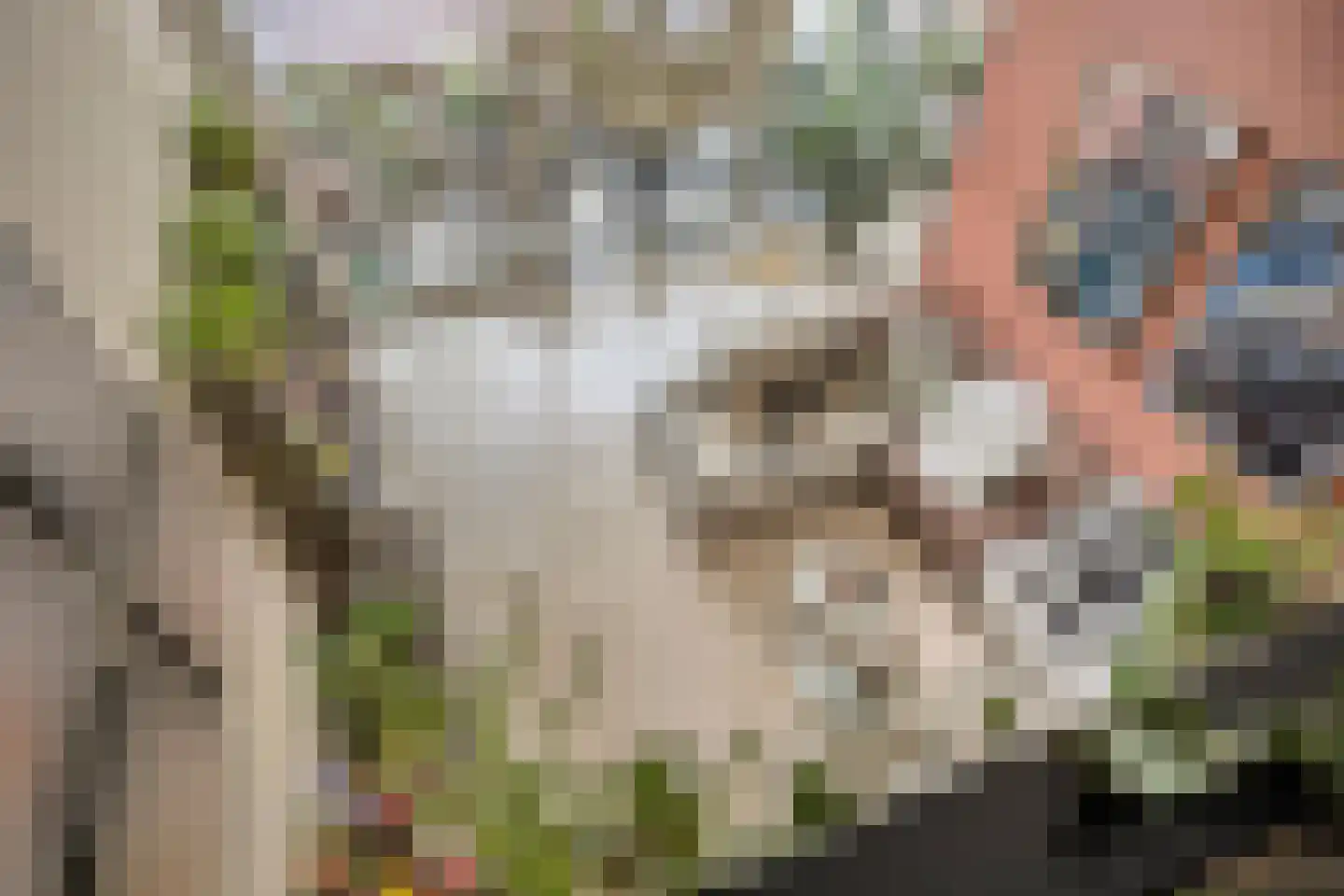 Berkenlaan 111 Doorwerth thumbnail 27
