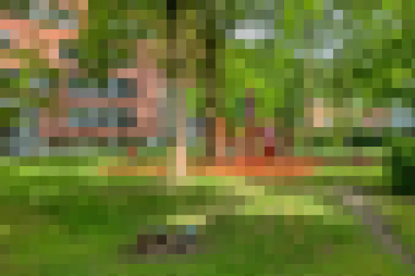 Berkenlaan 111 Doorwerth thumbnail 30