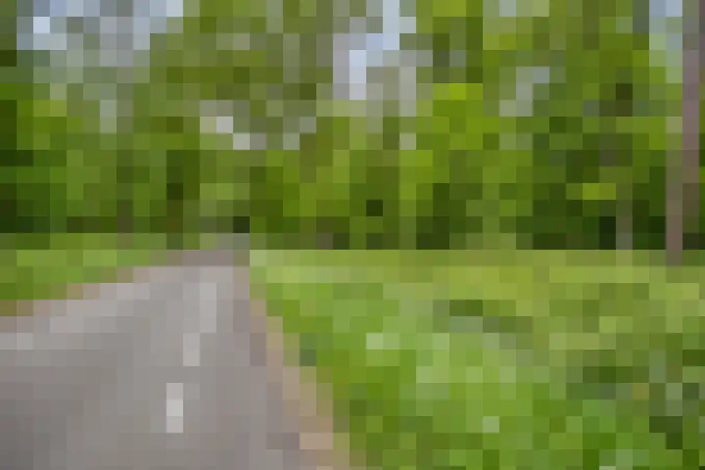 Berkenlaan 111 Doorwerth thumbnail 32