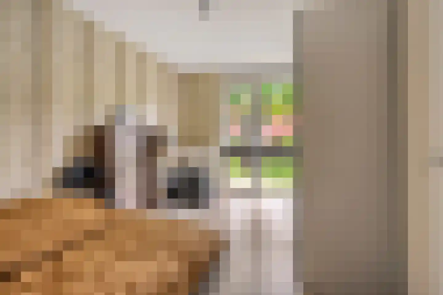 Berkenlaan 111 Doorwerth thumbnail 7