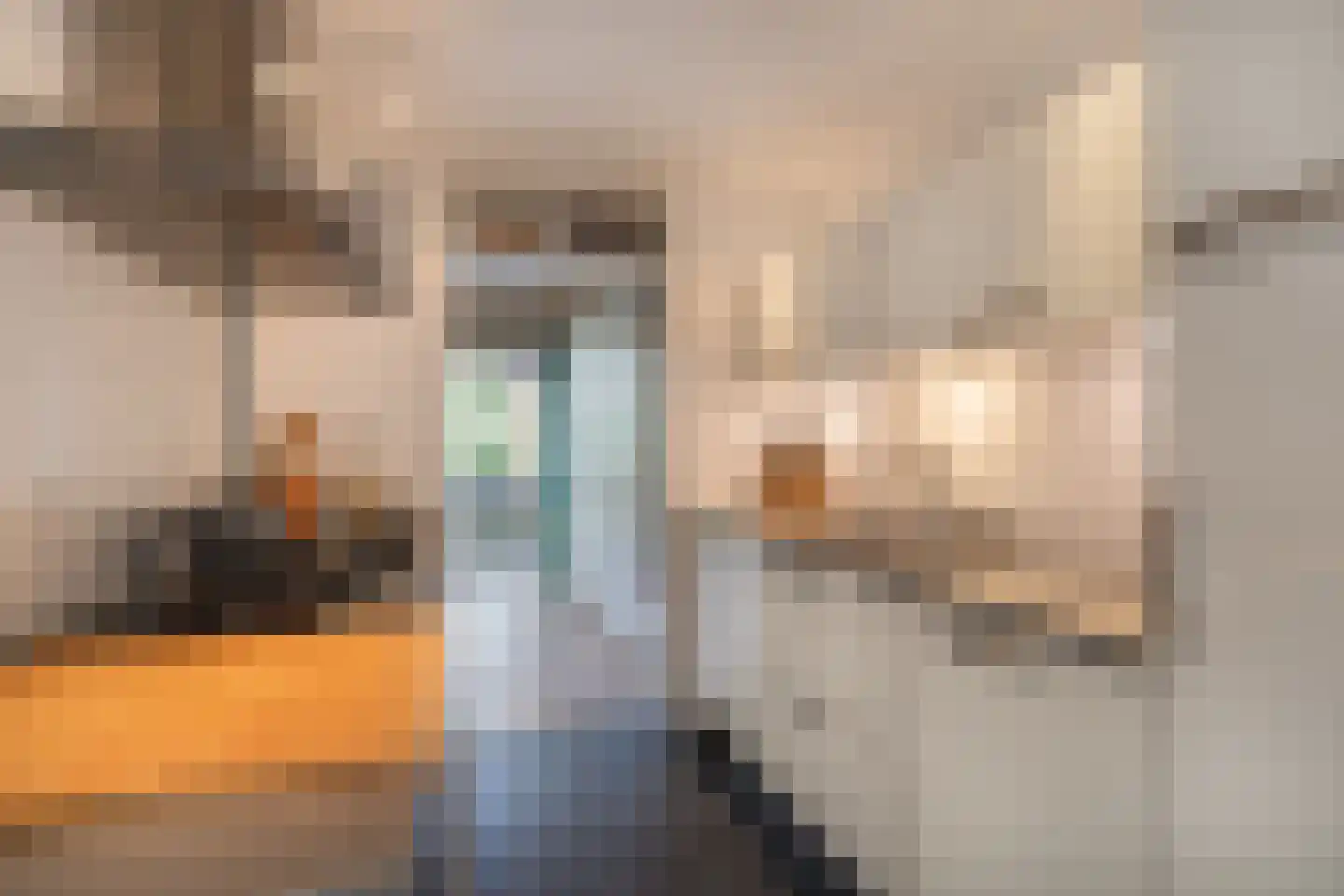 Berkenlaan 111 Sint-Michielsgestel thumbnail 10