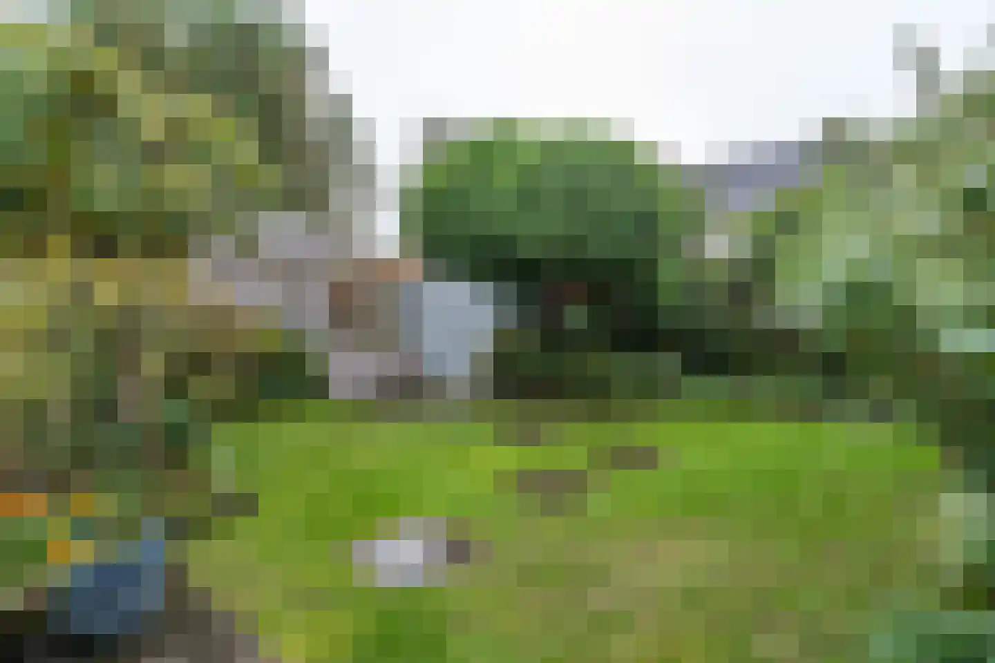 Berkenlaan 111 Sint-Michielsgestel thumbnail 31