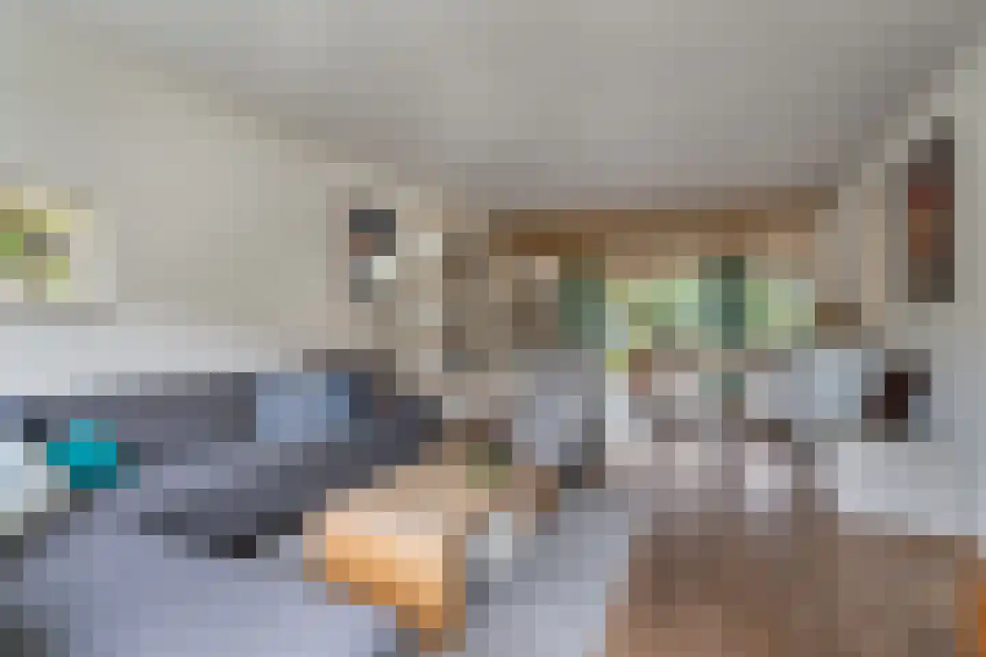 Berkenlaan 111 Sint-Michielsgestel thumbnail 5