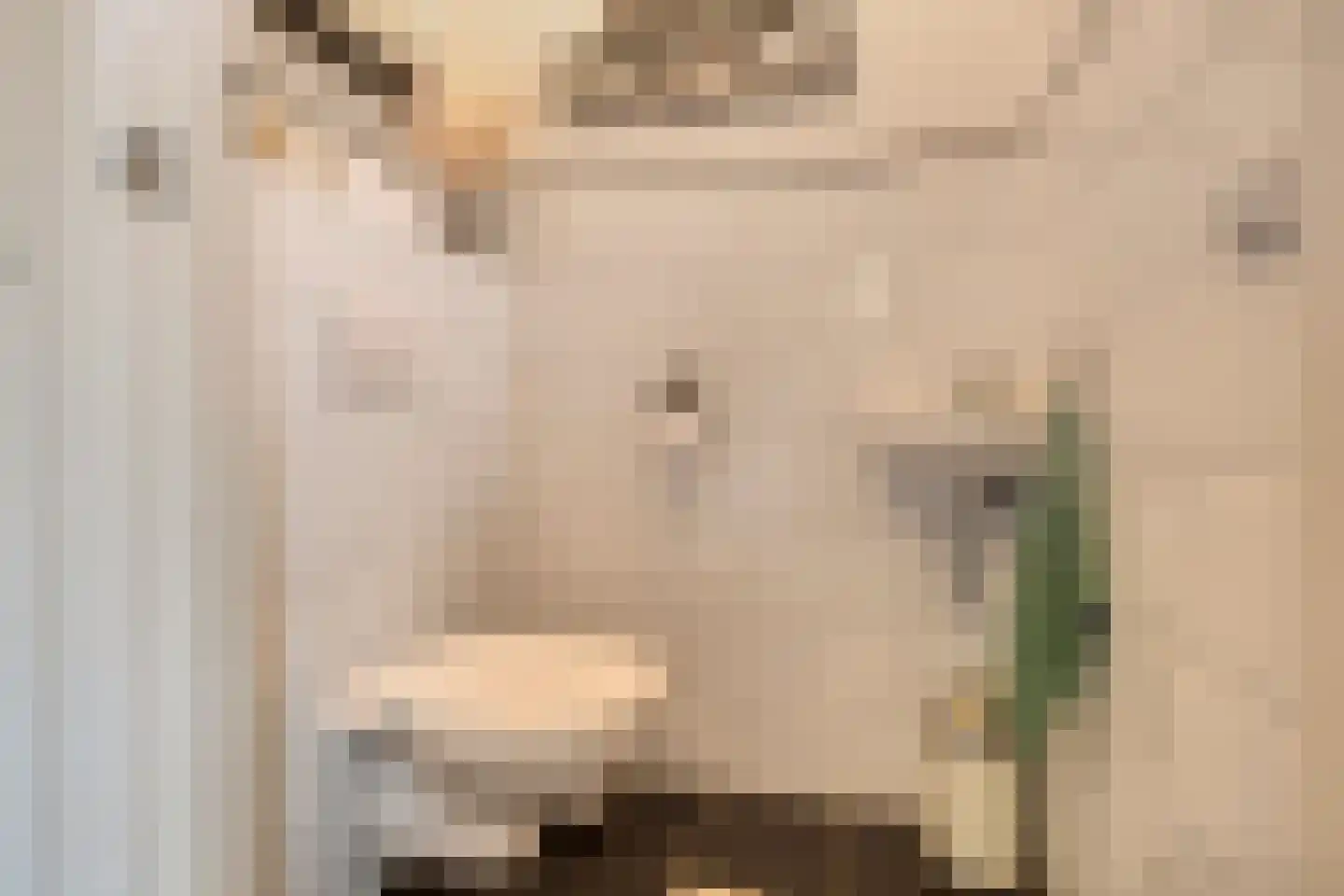 Berkenlaan 112 Silvolde thumbnail 12