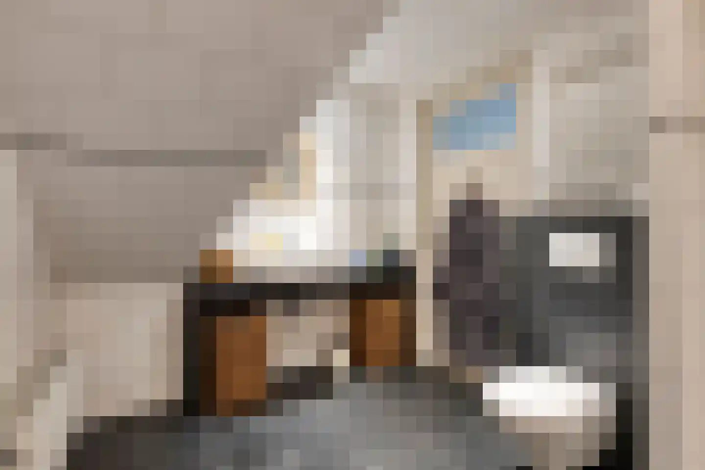 Berkenlaan 112 Silvolde thumbnail 20