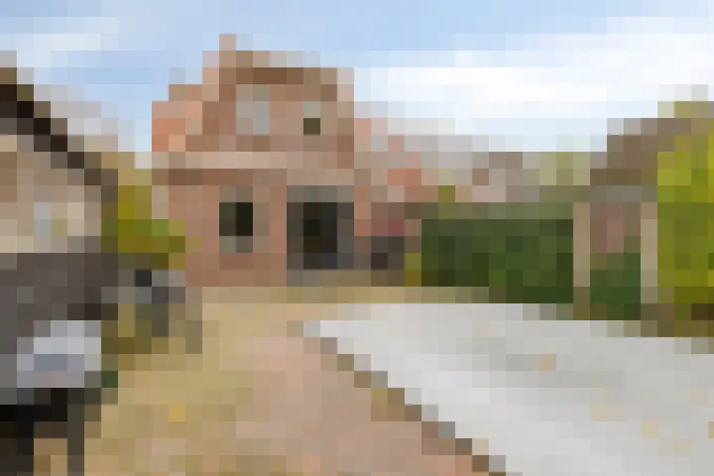 Berkenlaan 112 Silvolde thumbnail 29