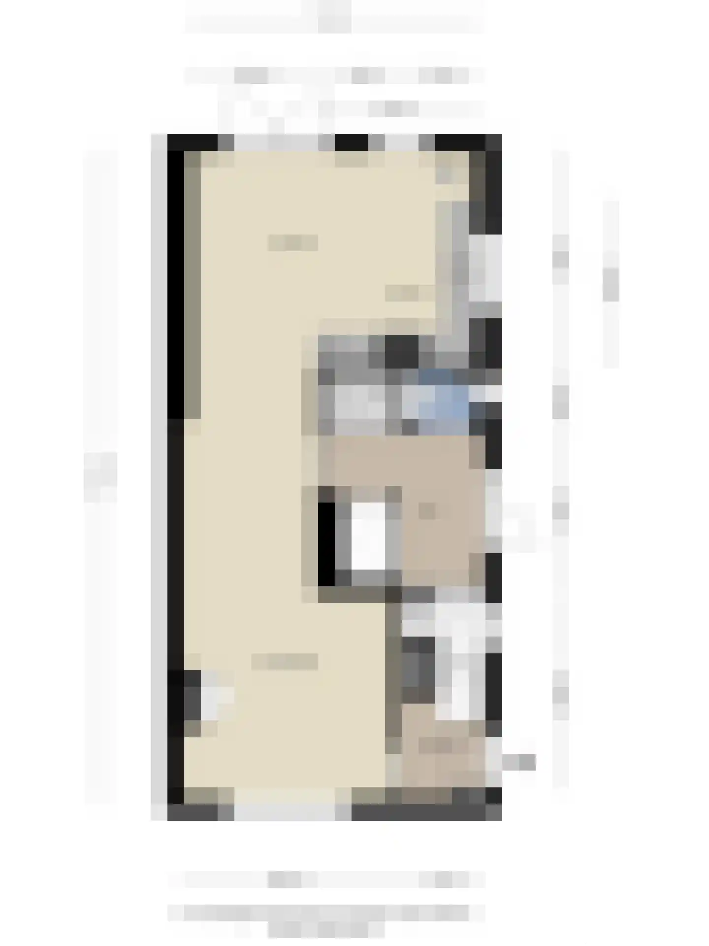 Berkenlaan 112 Silvolde thumbnail 36