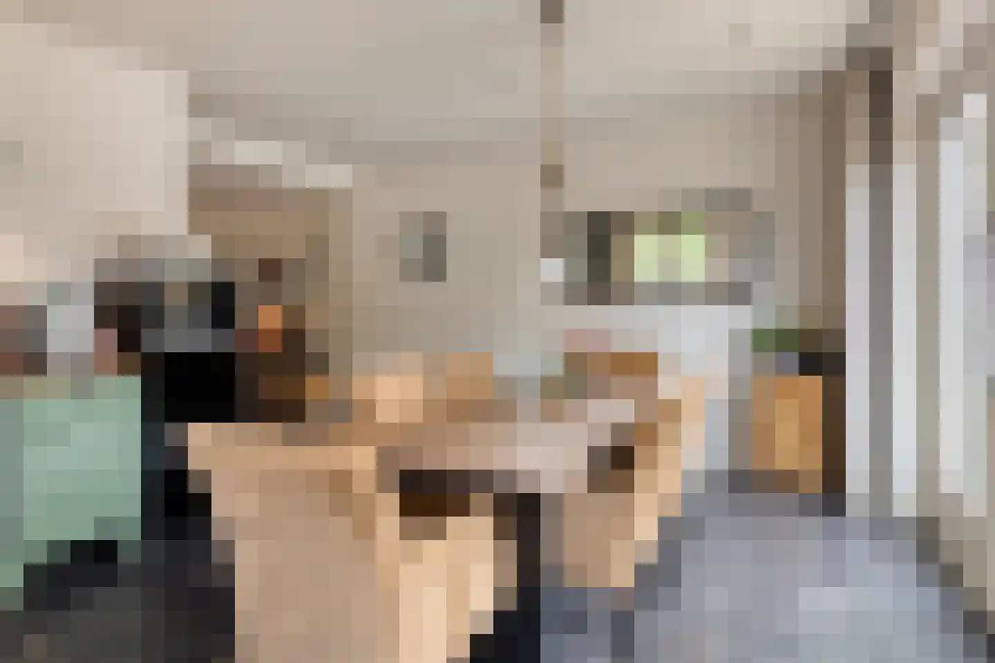 Berkenlaan 112 Silvolde thumbnail 5
