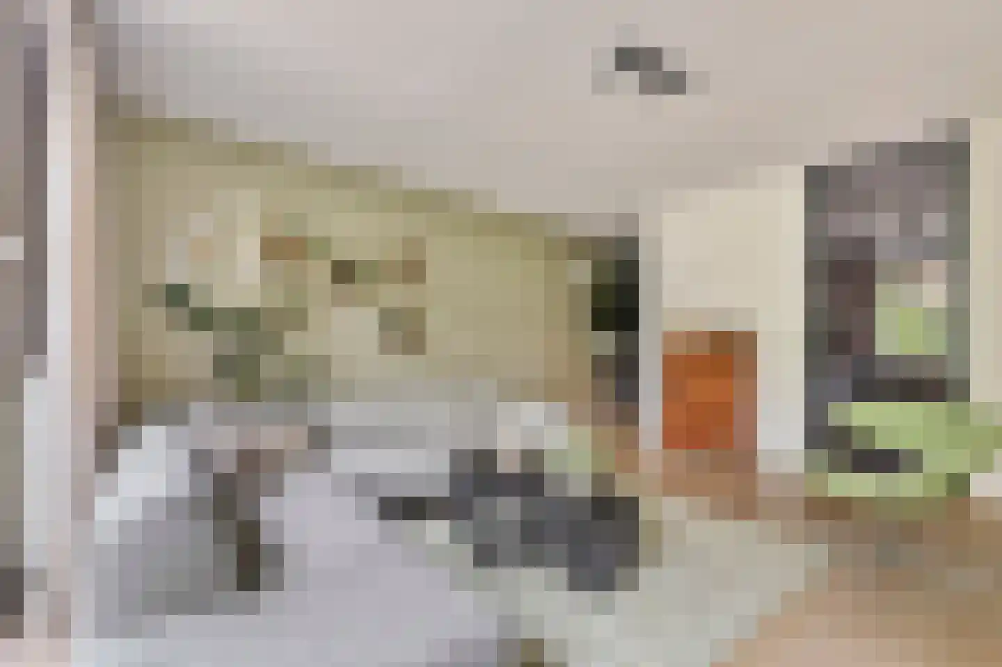 Berkenlaan 117 Doorwerth thumbnail 12