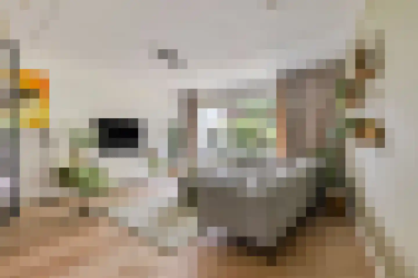 Berkenlaan 117 Doorwerth thumbnail 13