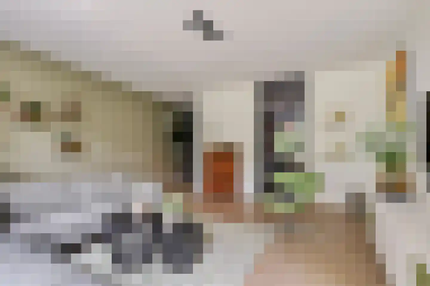 Berkenlaan 117 Doorwerth thumbnail 14