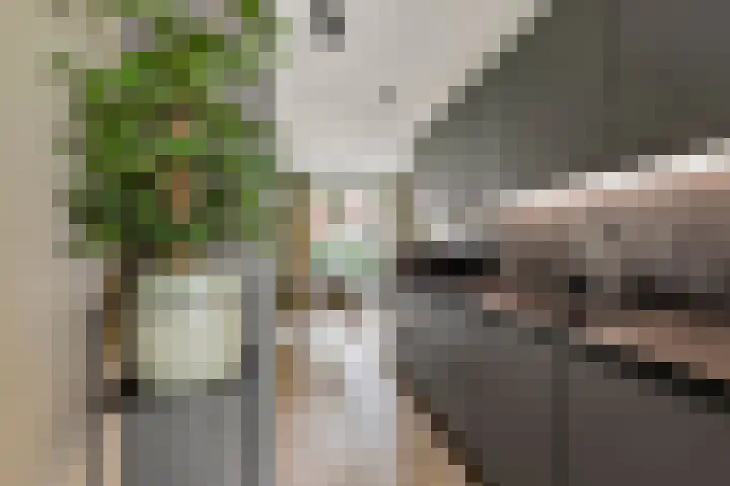 Berkenlaan 117 Doorwerth thumbnail 17
