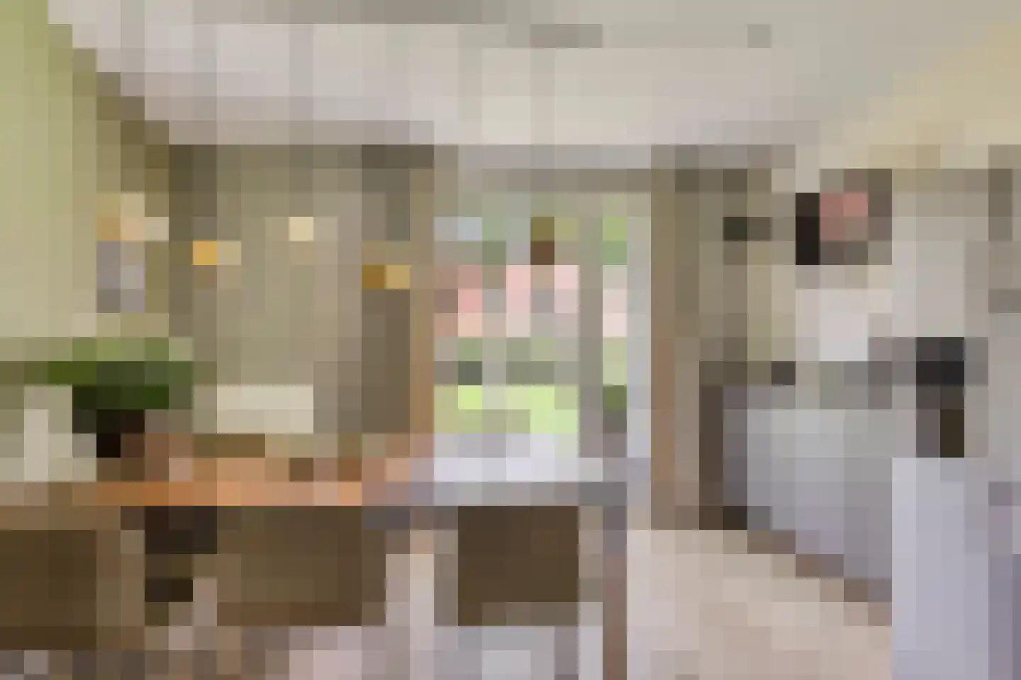 Berkenlaan 117 Doorwerth thumbnail 18