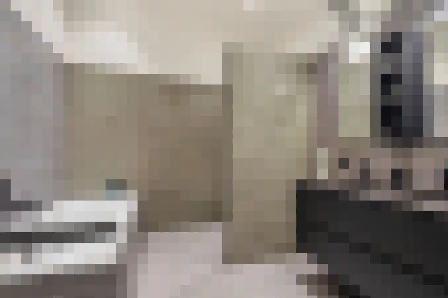 Berkenlaan 117 Doorwerth thumbnail 26