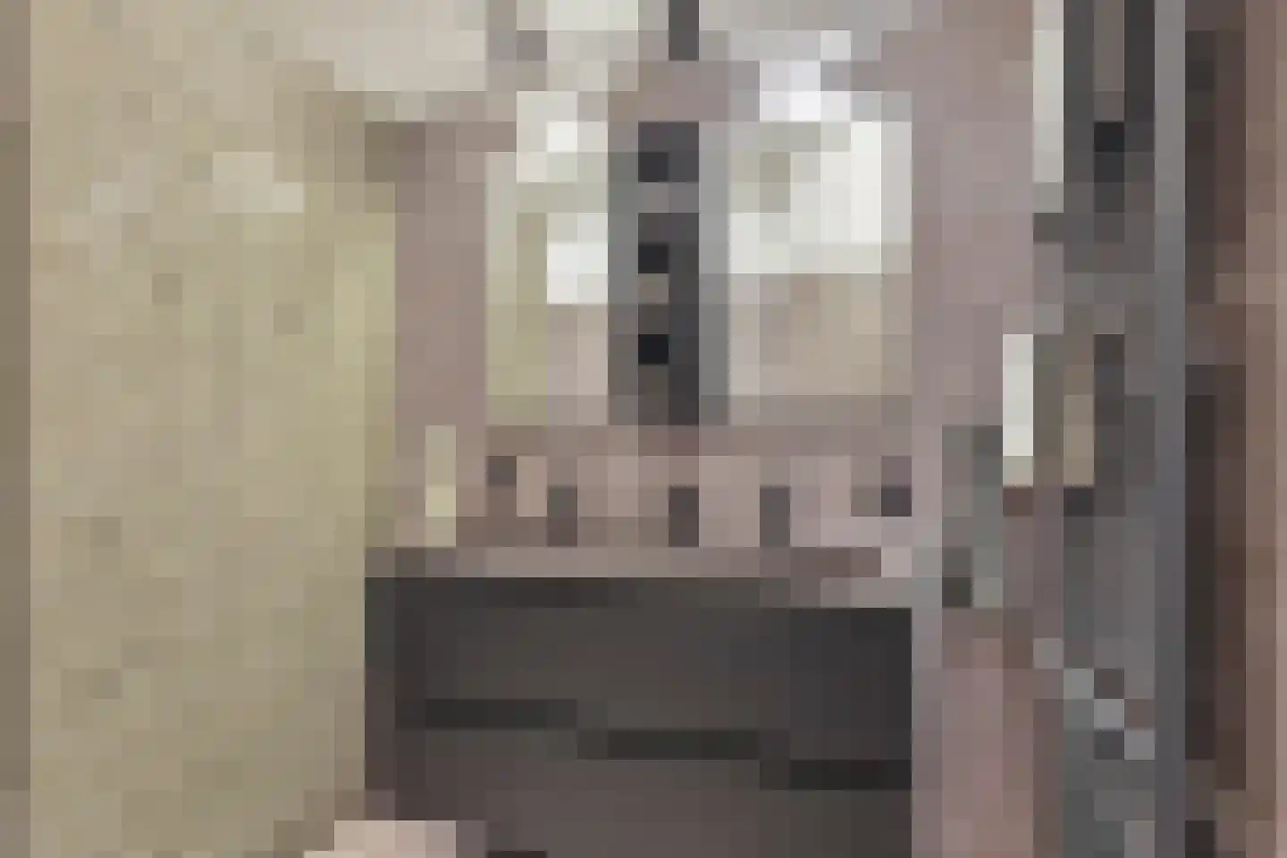 Berkenlaan 117 Doorwerth thumbnail 27