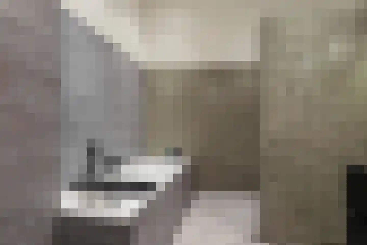 Berkenlaan 117 Doorwerth thumbnail 28