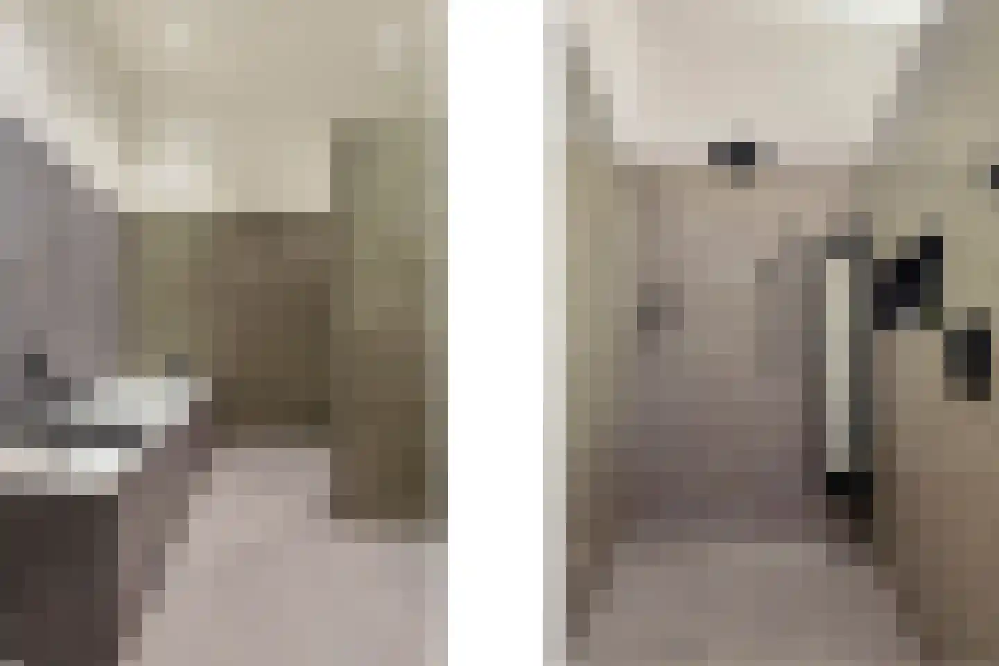 Berkenlaan 117 Doorwerth thumbnail 29