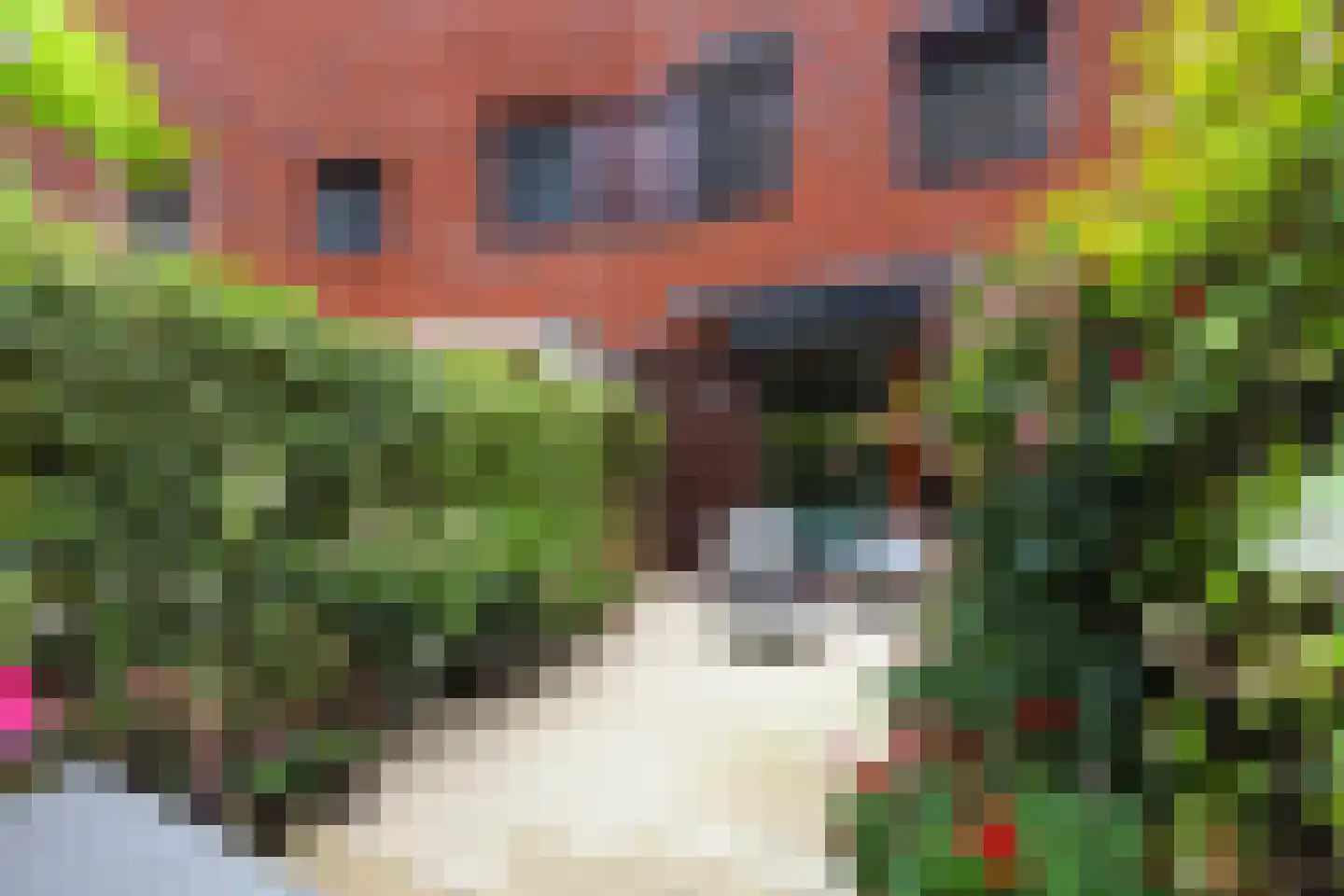 Berkenlaan 117 Doorwerth thumbnail 33