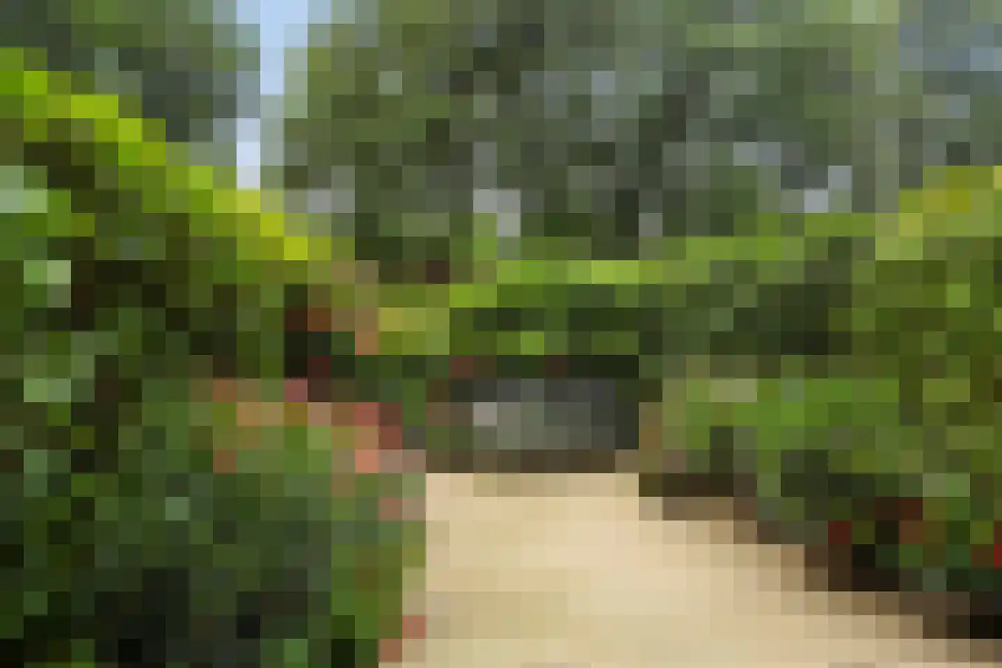 Berkenlaan 117 Doorwerth thumbnail 36
