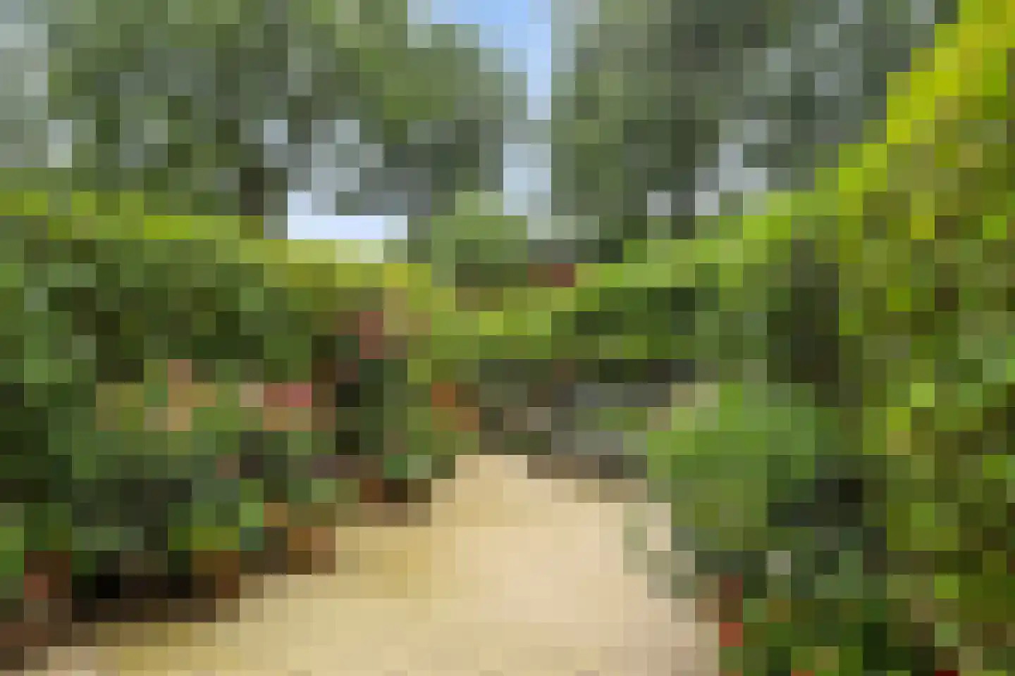 Berkenlaan 117 Doorwerth thumbnail 37