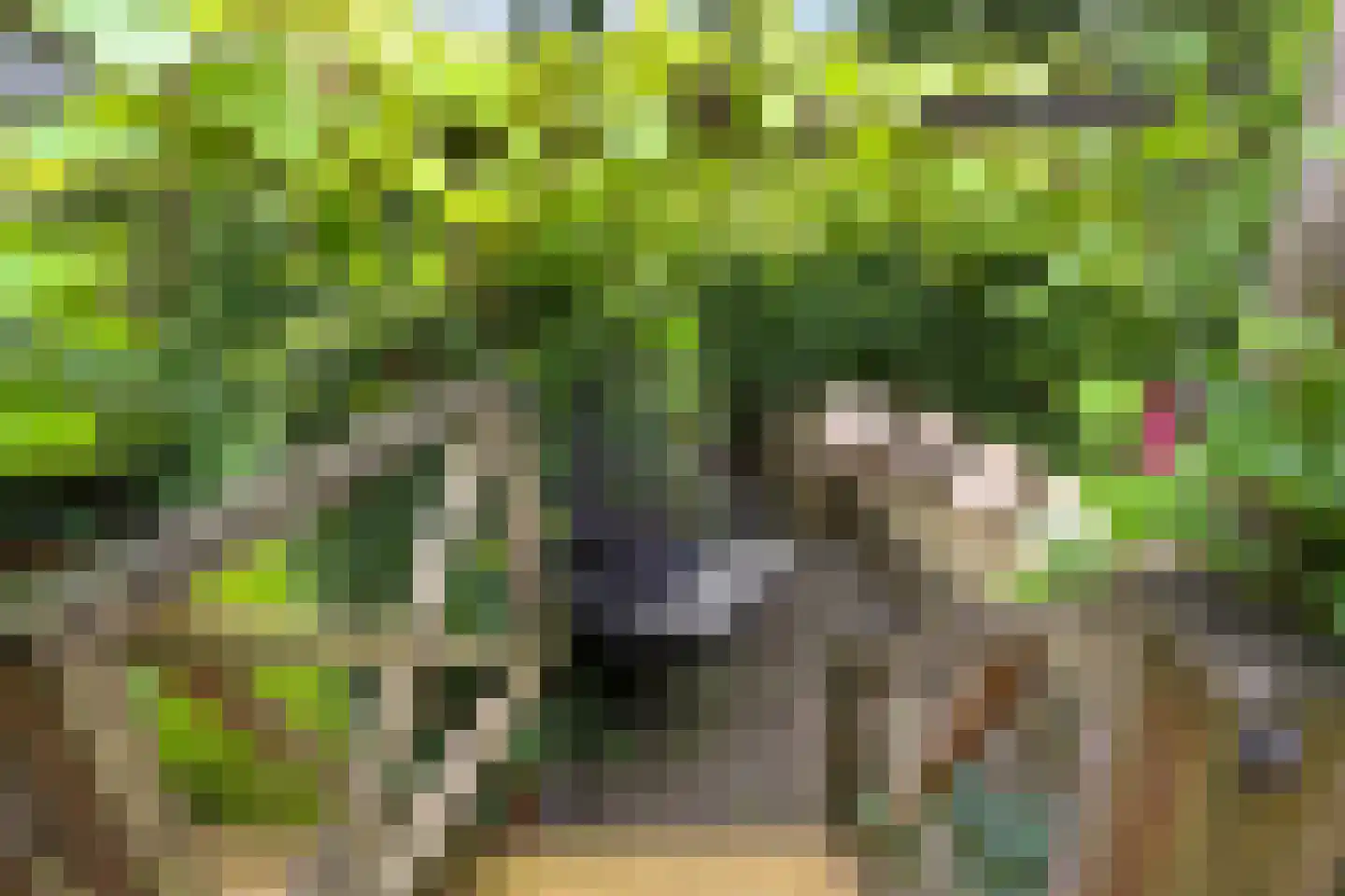 Berkenlaan 117 Doorwerth thumbnail 38