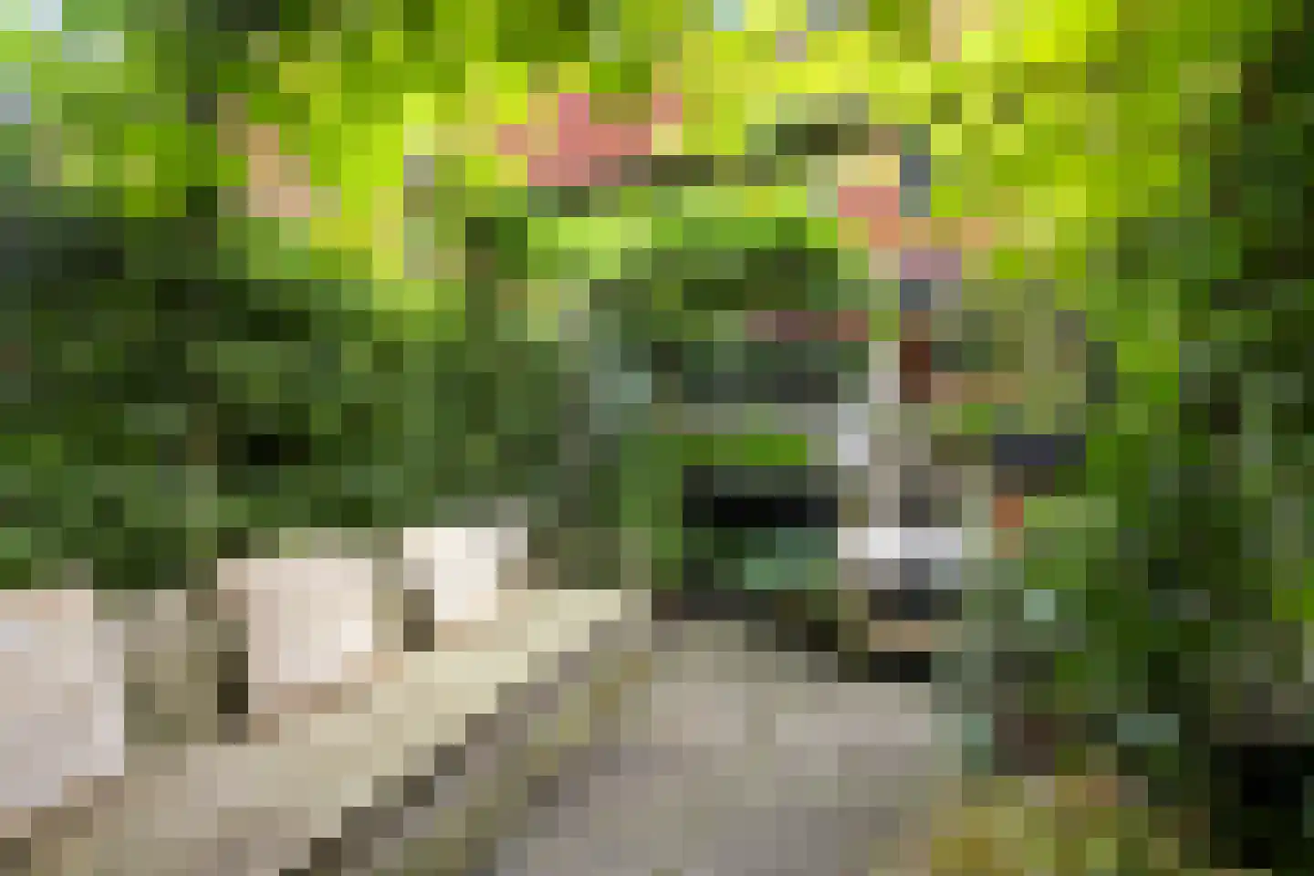 Berkenlaan 117 Doorwerth thumbnail 39