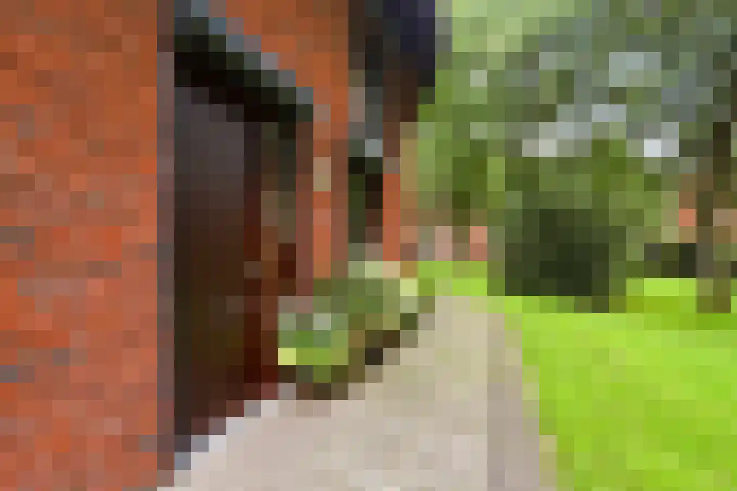 Berkenlaan 117 Doorwerth thumbnail 8